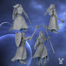 Silver Guards Squad Build Kit | DakkaDakka | Grim Dark | Fantasy | One Page Rules