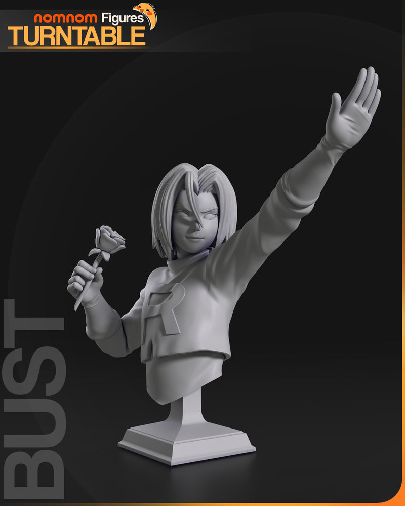 James – Pokémon (Nomnom Figures)