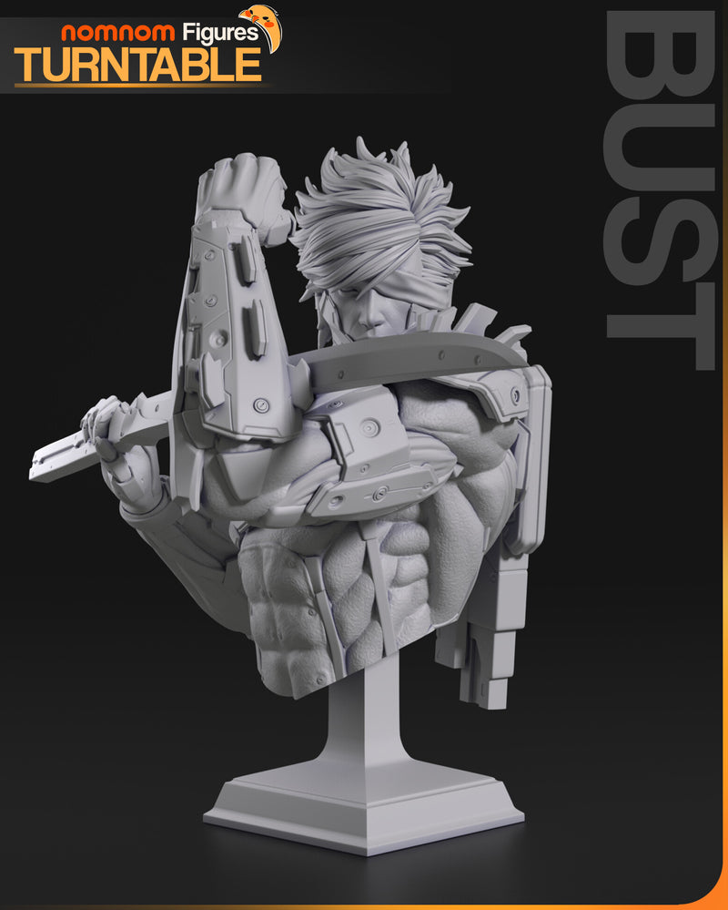 Raiden Metal Gear (Nomnom Figures)