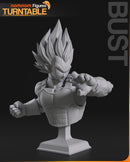 Vegeta Vs Broly Dragon Ball Z (Nomnom Figures)