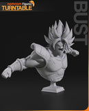 Vegeta Vs Broly Dragon Ball Z (Nomnom Figures)