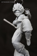 Dbz Gogeta Female (Nomnom Figures)