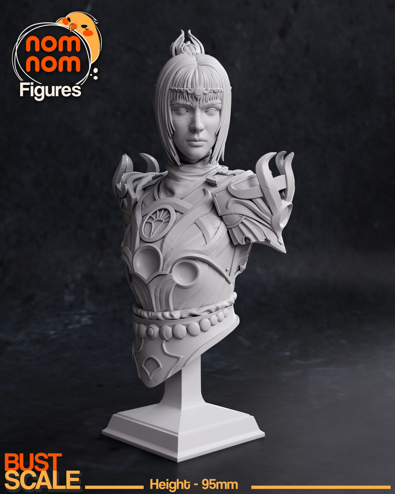 Shadow Heart Baldur S Gate (Nomnom Figures)