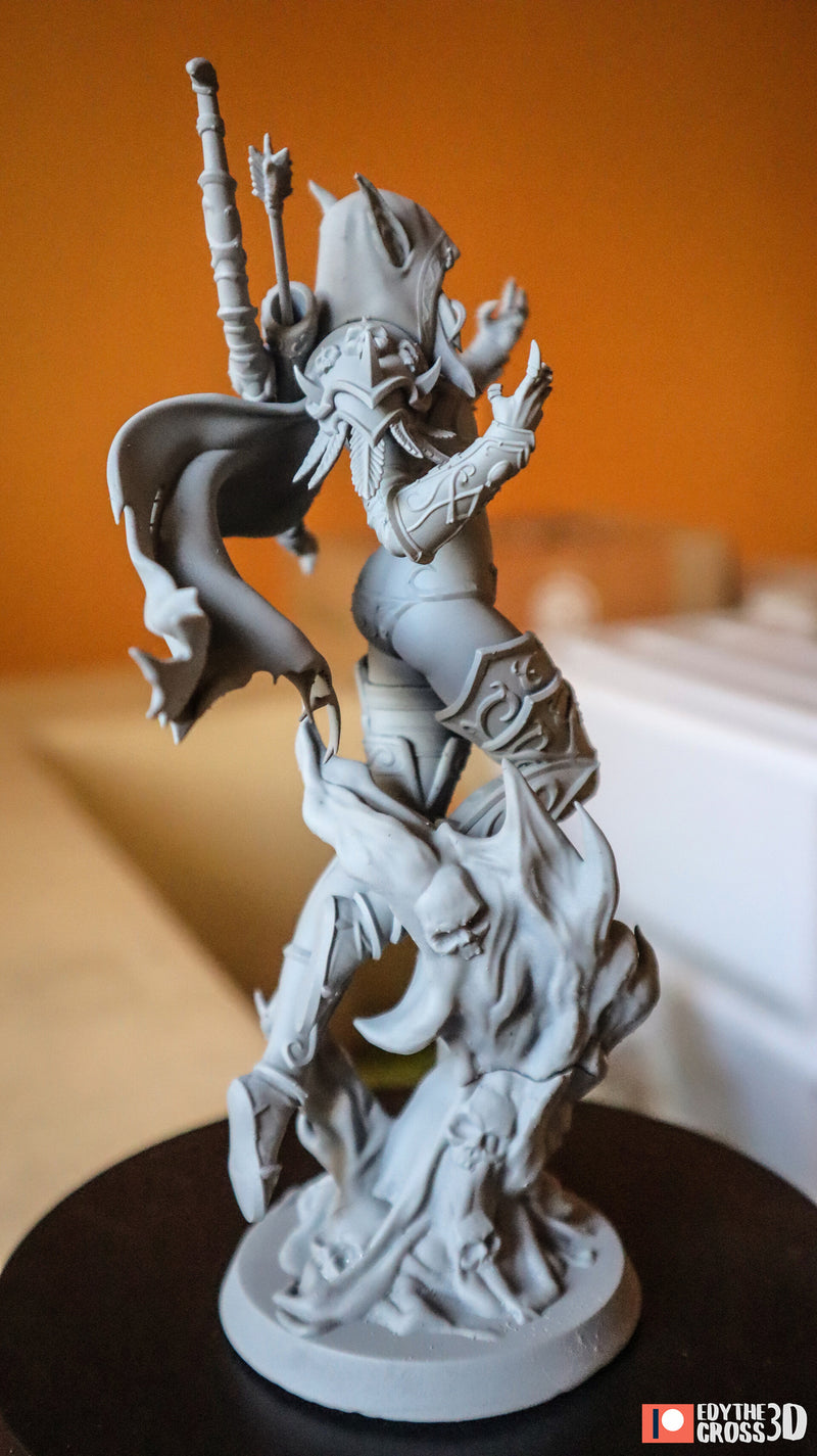 Sylvanas Windrunner World – World of Warcraft (Nomnom Figures)