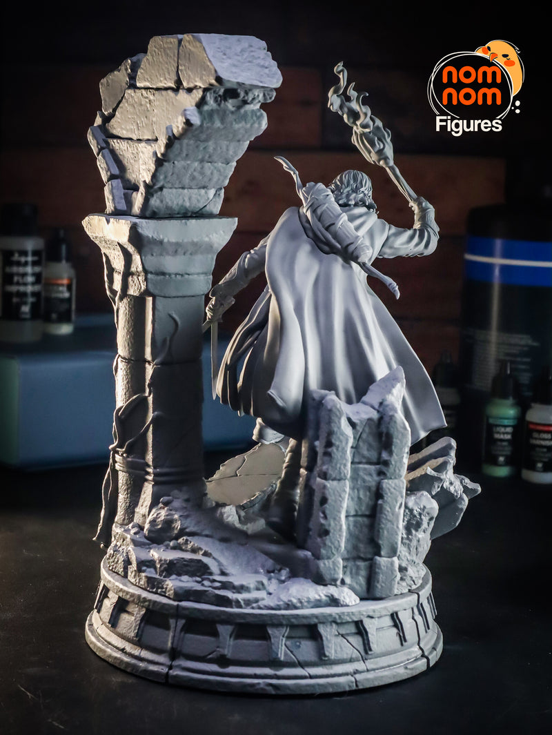 Aragorn Lord Rings (Nomnom Figures)