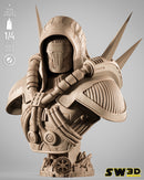 SW3D August 2025 Term Darth Marr Portrait Bust