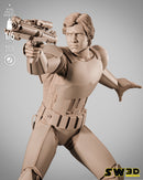 SW3D November 2025 Term Han Solo Stormtrooper Sculpture