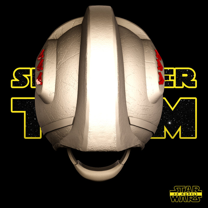Luke and Leia Helmet