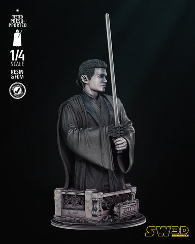 Young Anakin Bust