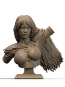 Red Sonja Bust - 1/9 Scale