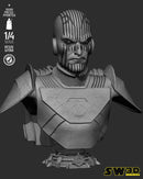 SW3D October 2025 Term Gran Inquisitor Portrait Bust