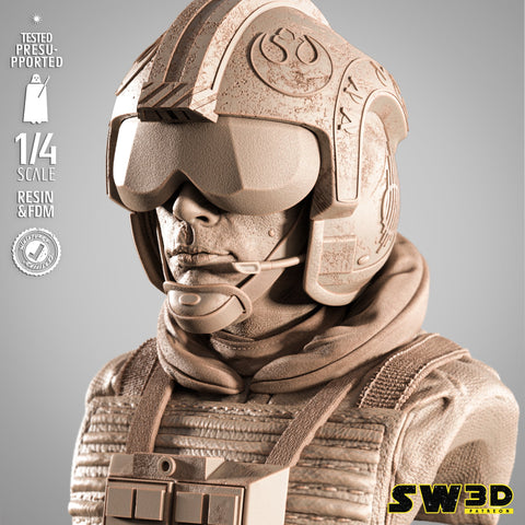 SW3D May 2025 Term Luke Pilot Portrait Bust