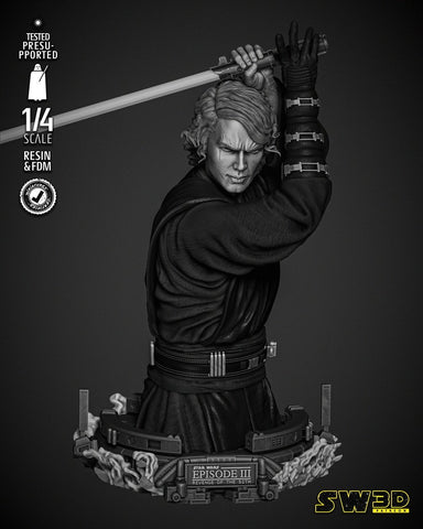Anakin 2024 Bust