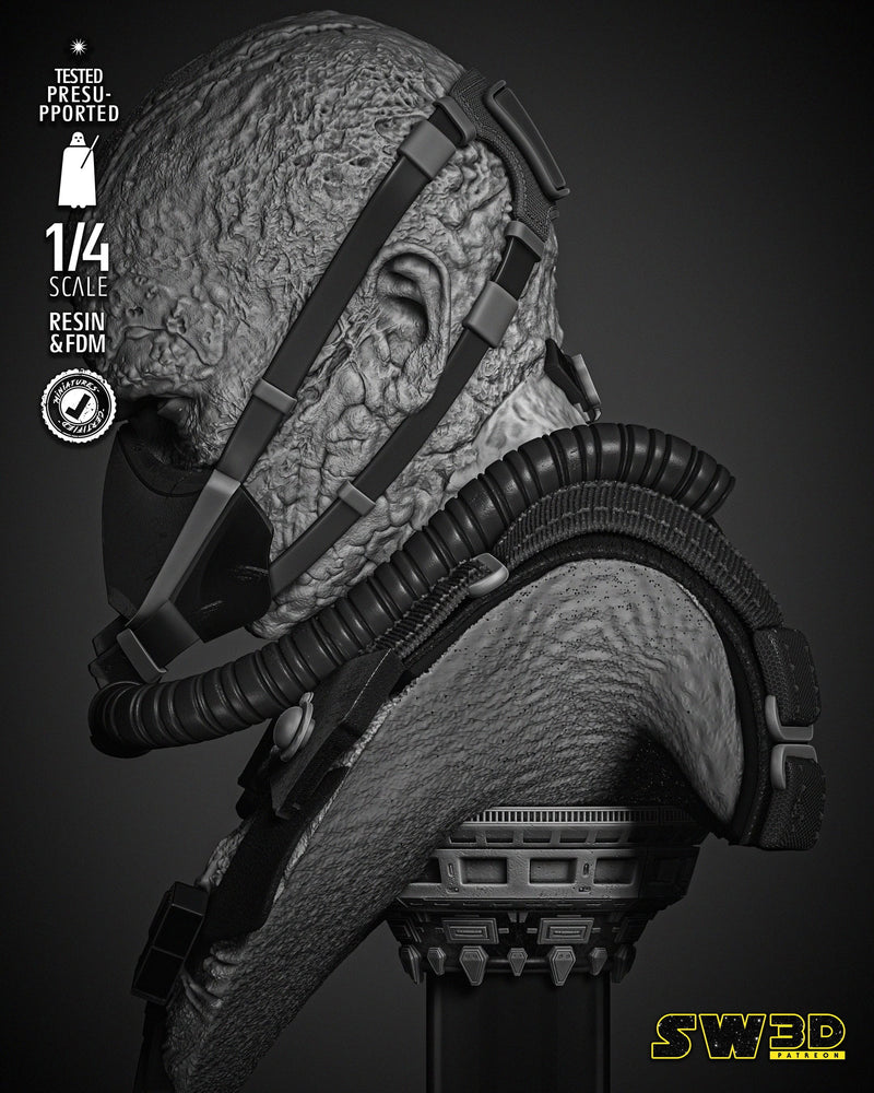 Darth Vader in the Bacta Tank Portrait Bust