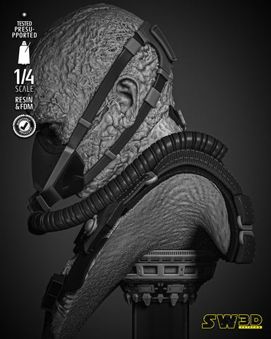 Darth Vader in the Bacta Tank Portrait Bust