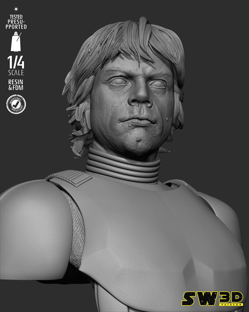 SW3D October 2025 Term Luke Stormtrooper Portrait Bust