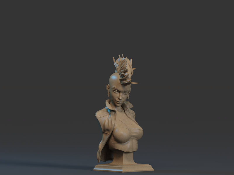 Storm Bust - 1/9 Scale