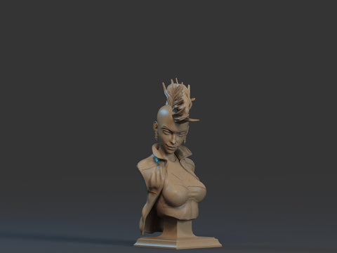 Storm Bust - 1/9 Scale