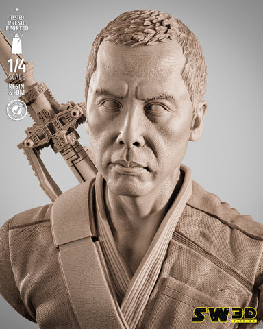SW3D November 2025 Term Chirrut Imwe Portrait Bust