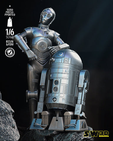 New Hope Luke and Leia Diorama POSTER VERSION