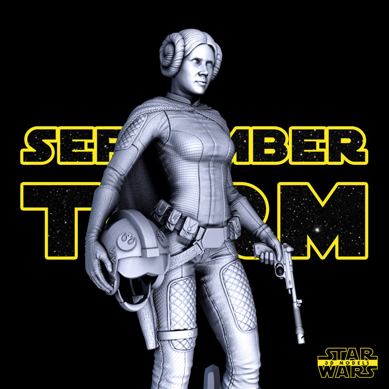 Leia Sculpture