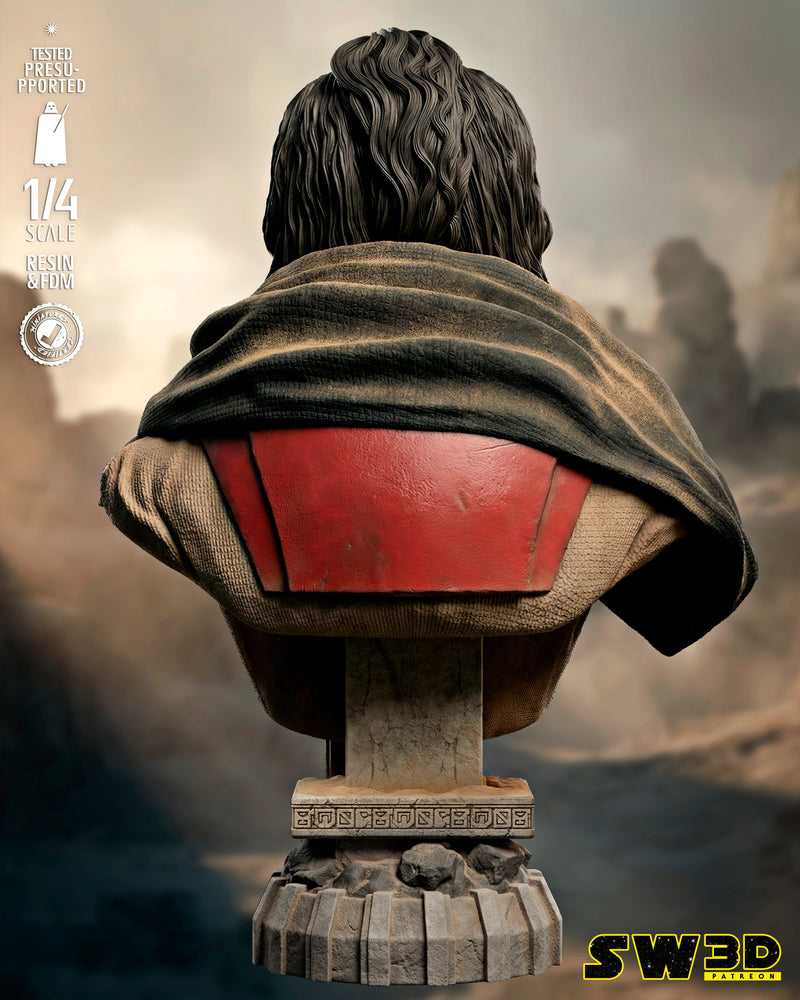 SW3D December 2025 Term Baze Malbus Portrait Bust