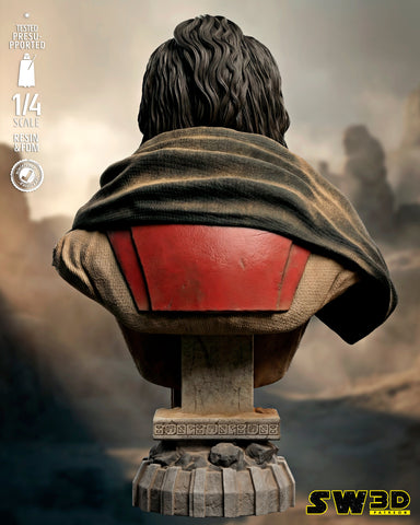 SW3D December 2025 Term Baze Malbus Portrait Bust