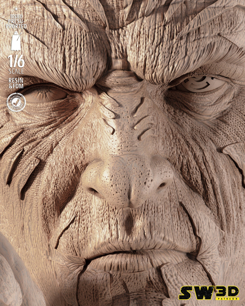 SW3D September 2025 Term Darth Krayt Sculpture