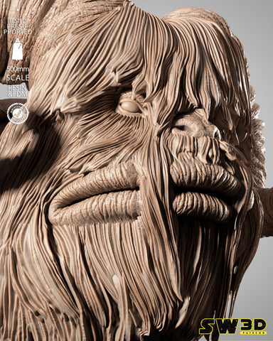 SW3D June 2025 Term Bantha Wall