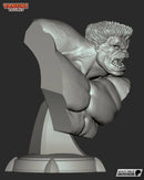Red Hulk Resin Statue & Bust - Bust view 2