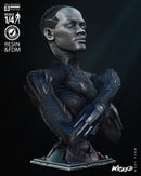 Black Panther 2024 Portrait Bust resin bust kit view 2