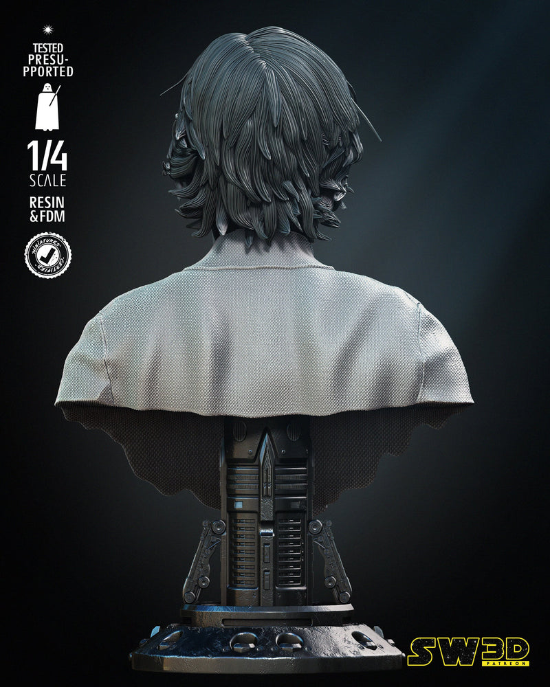 New Hope Luke Skywalker Bust