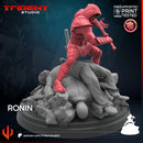Ronin Marvel MCP-compatible 40mm resin proxy miniature by Trident Miniatures - product image 2