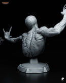 Spider-Man Resin Statue & Bust - Bust view 2