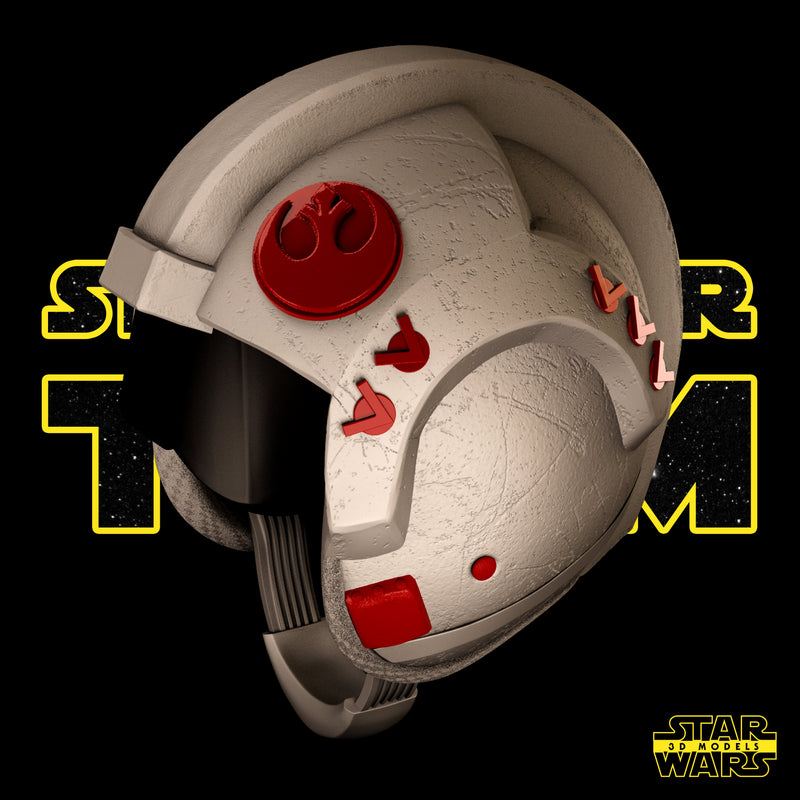 Luke and Leia Helmet