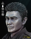 Young Anakin Bust