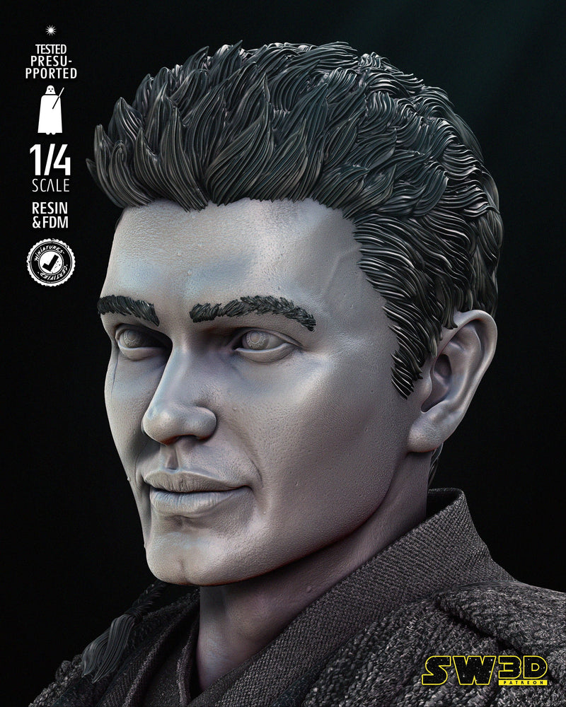 Young Anakin Bust