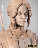 SW3D August 2025 Term Jin Erso Portrait Bust
