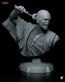 Voldemort Resin Statue & Bust - Bust view 2