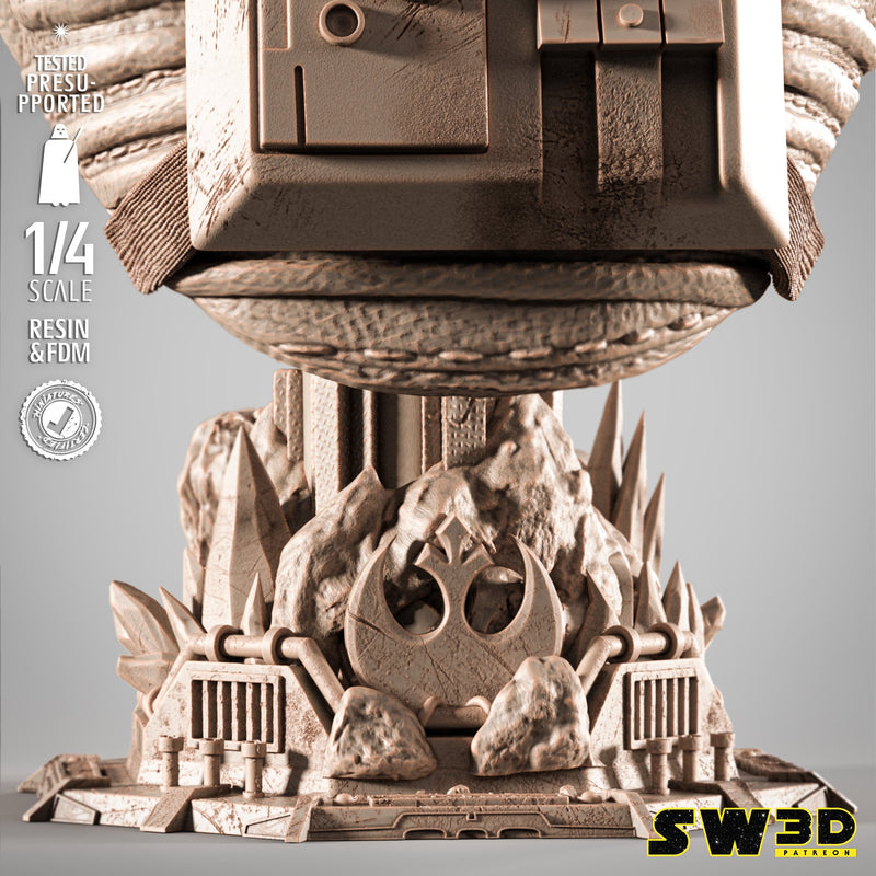 SW3D May 2025 Term Luke Pilot Portrait Bust