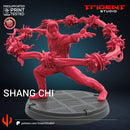 Shang Chi Marvel MCP-compatible 40mm resin proxy miniature by Trident Miniatures - product image 2
