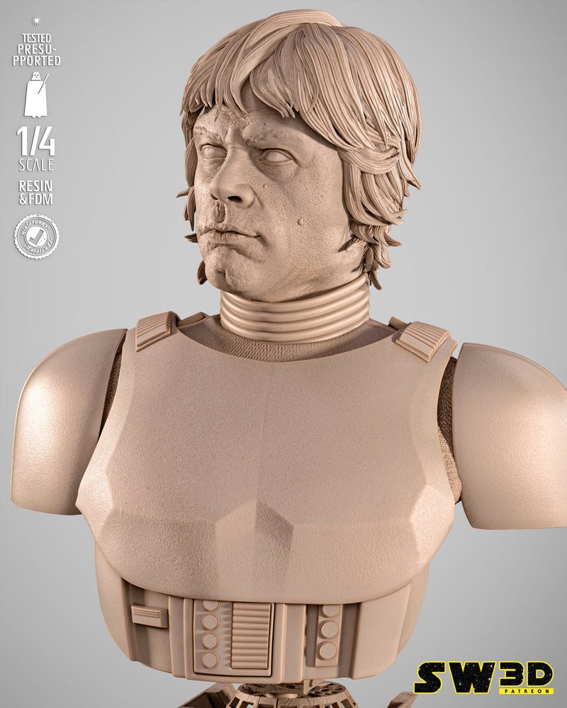 SW3D October 2025 Term Luke Stormtrooper Portrait Bust
