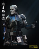 Echo Bust