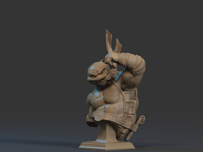 Michelangelo Bust - 1/9 Scale