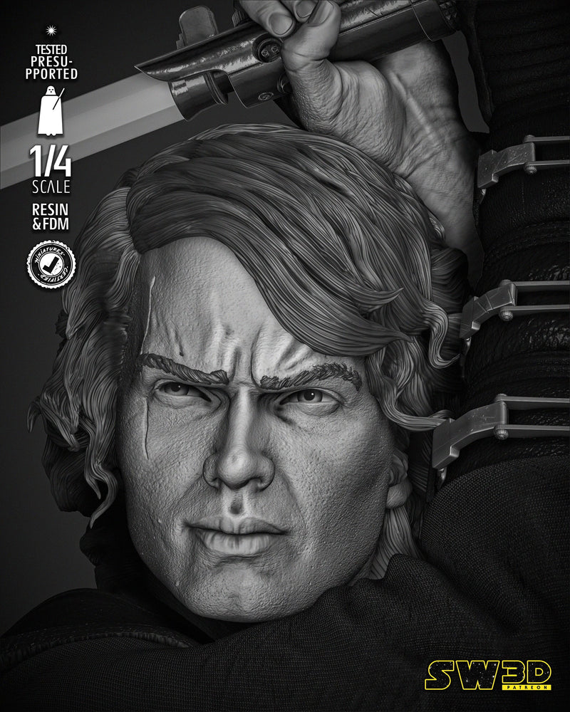 Anakin 2024 Bust