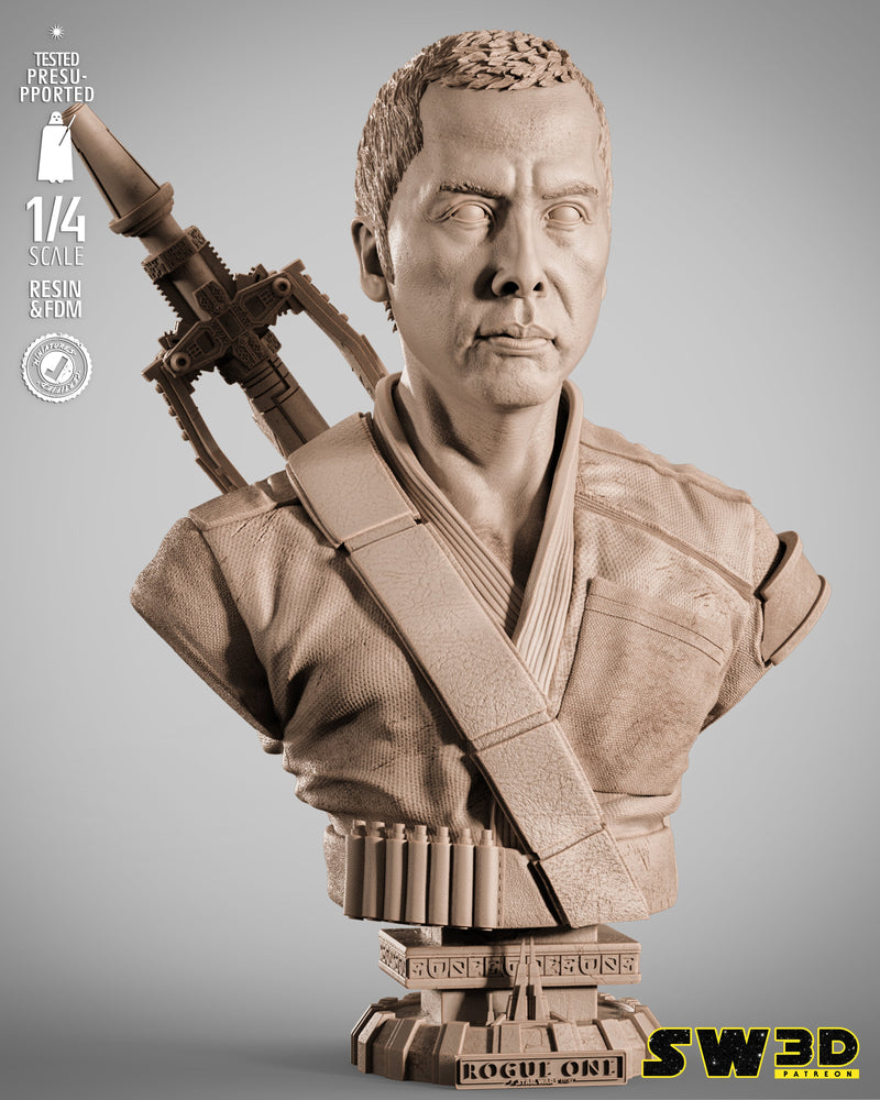 SW3D November 2025 Term Chirrut Imwe Portrait Bust