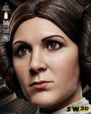 SW3D December 2025 Term Leia Organa Sculpture