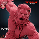 Puma Marvel MCP-compatible 40mm resin proxy miniature by Trident Miniatures - product image 2