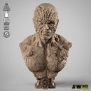 Darth Sion Portrait Bust