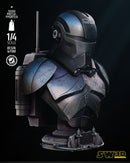 Echo Portrait Bust
